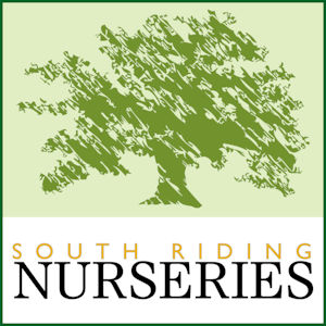 south-riding-nurseries